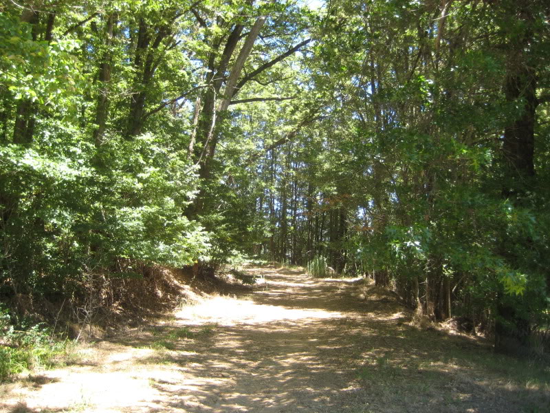 porepunkah