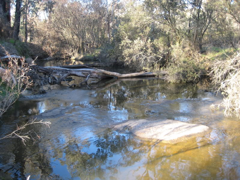 reedycreek